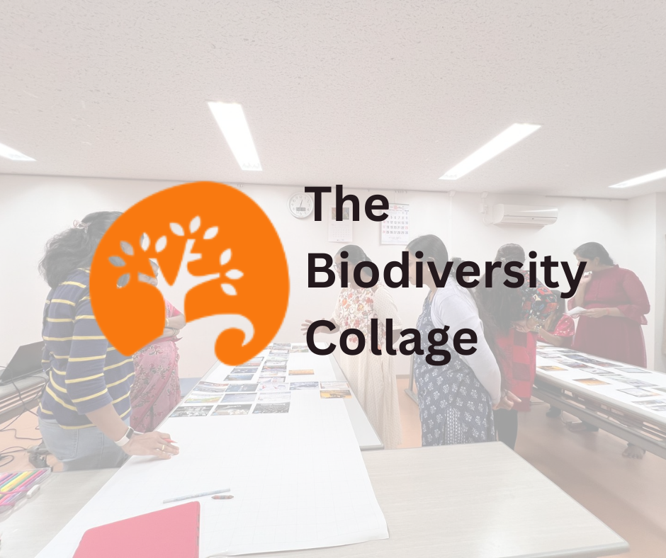 Biodiversity Workshop